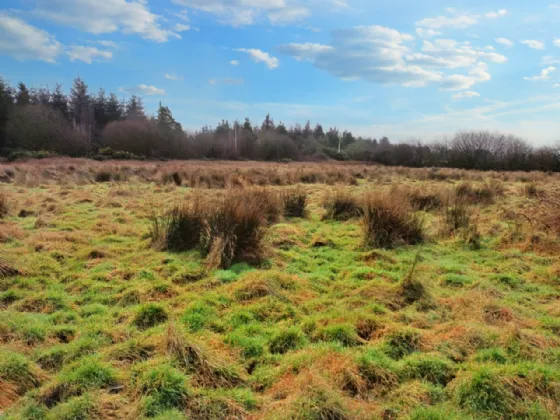 Photo of Streamhill, Doneraile, Co. Cork, P51 RP77