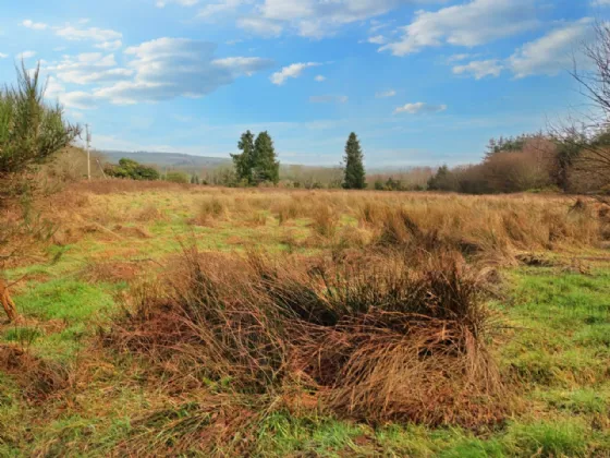 Photo of Streamhill, Doneraile, Co. Cork, P51 RP77