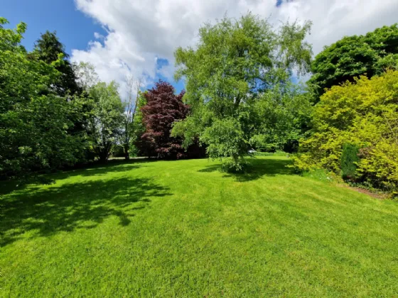 Photo of Old Park House, Castlemagarret Park Old, Claremorris, Co. Mayo, F12CR60