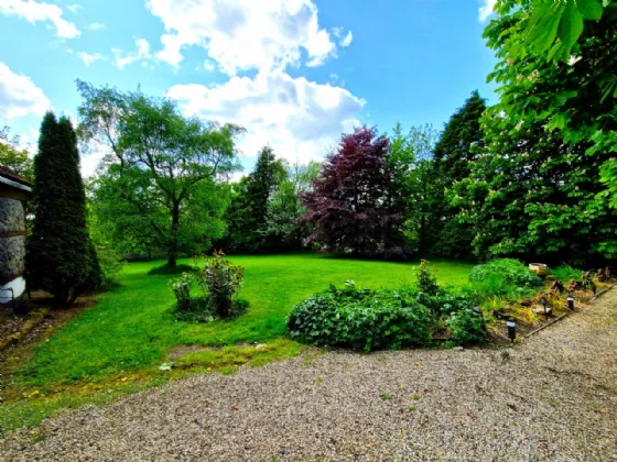 Photo of Old Park House, Castlemagarret Park Old, Claremorris, Co. Mayo, F12CR60