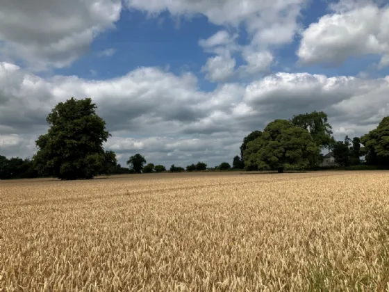 Photo of Bachelors Lodge, On Approx. 62.5 HA (154.5 Acres), Kells Road, Navan, County Meath, C15 Y449