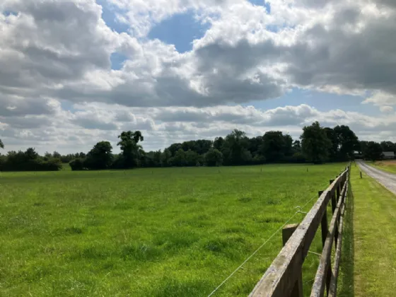 Photo of Bachelors Lodge, On Approx. 62.5 HA (154.5 Acres), Kells Road, Navan, County Meath, C15 Y449