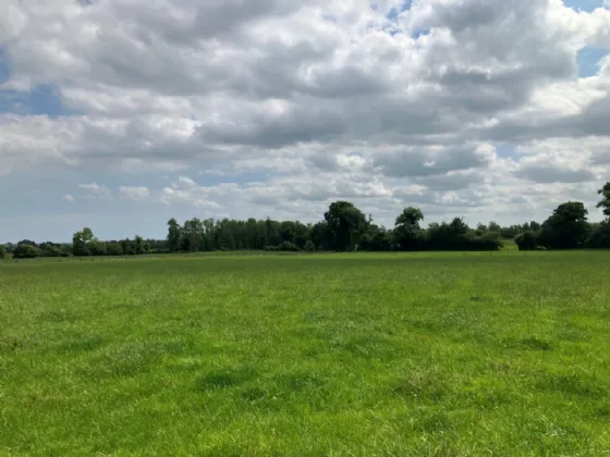 Photo of Bachelors Lodge, On Approx. 62.5 HA (154.5 Acres), Kells Road, Navan, County Meath, C15 Y449