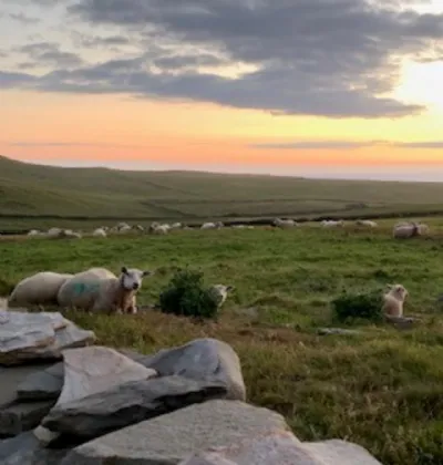 Photo of Dunlickey Road, Kilkee, Co. Clare, V15 HP20