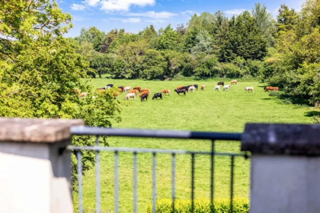 Photo of 114 Grange Hall, Dunshaughlin, Co Meath, A85 AD93