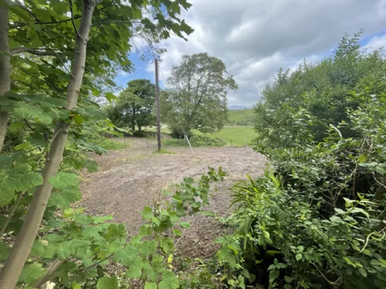 Photo of Quito Cottage, Buckfield, Kilmeena, Westport, Co Mayo, F28 YX94