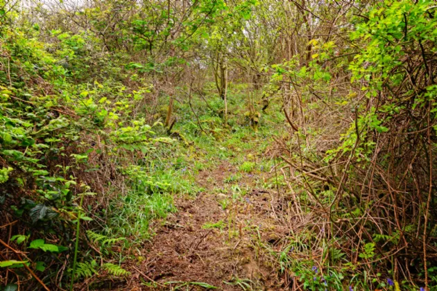 Photo of Lorien, Lower Rosses, Rosses Point, Co. Sligo, F91V8Y6