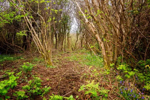 Photo of Lorien, Lower Rosses, Rosses Point, Co. Sligo, F91V8Y6