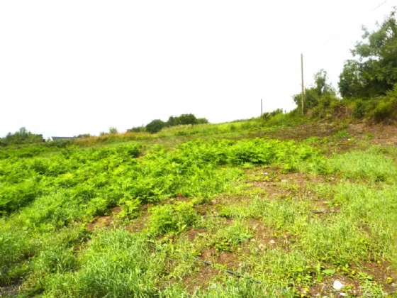 Photo of Knockrooskey, Westport, Co Mayo, F28 X268