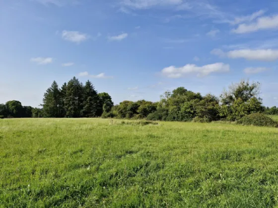 Photo of .27 Hectare / .66 Acre, Dalgin, Milltown, Tuam, Co. Galway