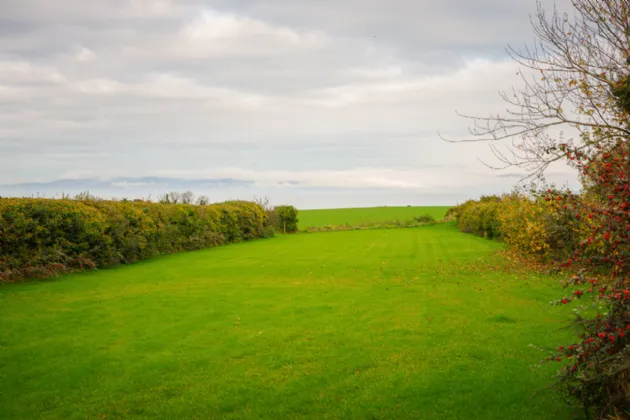 Photo of Yer-Tiz, The Lynns, Annagassan, Dunleer, Co. Louth, A92 K231