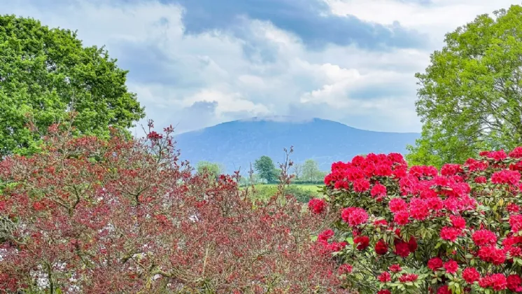 Photo of The Paddock On Circa 4.03 Acres, Coolnamara, Borris, Graiguenamanagh, Co Kilkenny, R95 NX74