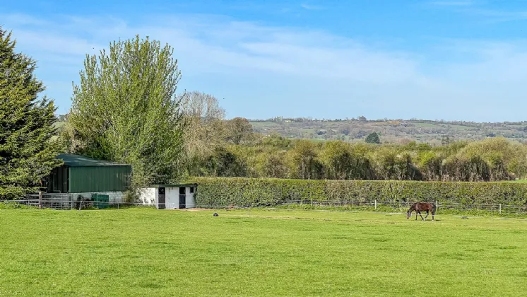 Photo of Mount Eagle On Circa 4.23 Acres, Simonsland, Freshford Road, Threecastles, Co Kilkenny, R95 N22E