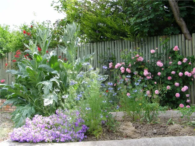 Photo of 16 Woodbine Avenue, Booterstown, Co. Dublin