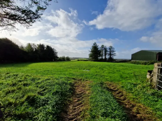 Photo of Kilbride, Swinford, Co Mayo, F12 XN26