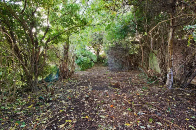 Photo of 135 Clonmacnoise Road, Kimmage, Dublin 12, D12 R2T0