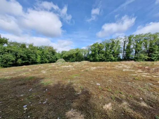 Photo of 0.62ac Site In Cloonacross, Milltown, Co. Galway