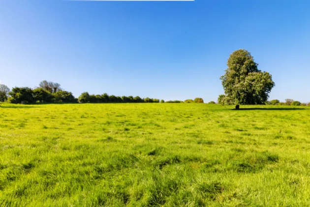 Photo of Monasteroris (The Entire), Residence On C. 39 H (96.6 Acres), Edenderry, County Offaly, R45 X384