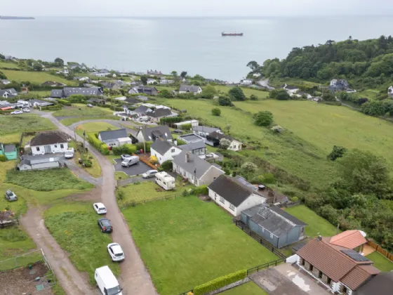 Photo of Eddy Stone, Cooney's Field, Myrtleville, Co. Cork, P43 F298