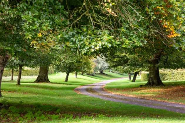 Photo of Ardbraccan House, Ardbraccan, Navan, County Meath, C15W8C0