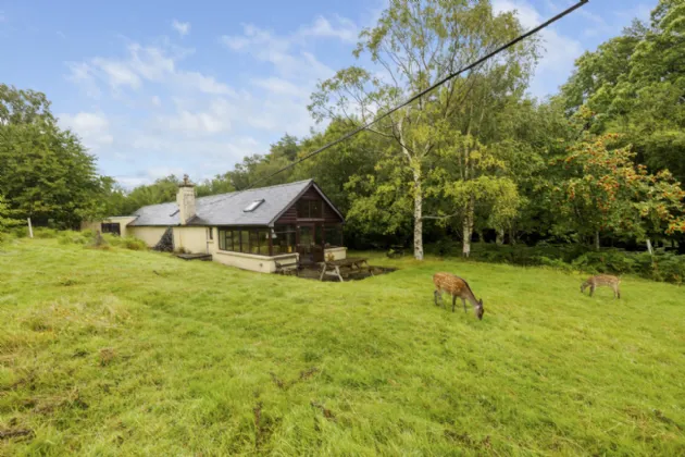 Photo of Gorse Cottage, Laragh, Co. Wicklow, A98 T213