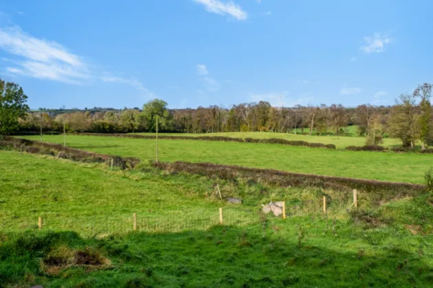 Photo of Easterfield, Abbey, Loughrea, Co. Galway, H53 KR66