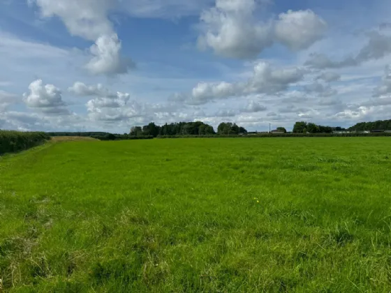 Photo of Land At Gormagh and Culleen, Durrow, Tullamore, Co. Offaly, R35 Y959