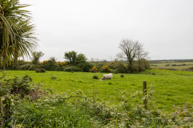 Photo of Cherryfield, Ballygarrett, Gorey, Co. Wexford, Y25 HY98