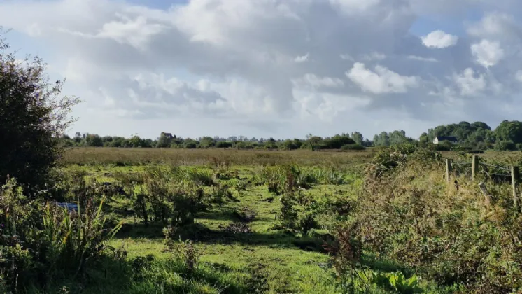 Photo of 112 Acres At Lehid & Kilcreevanty, Tuam, Co. Galway