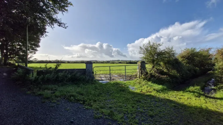 Photo of 112 Acres At Lehid & Kilcreevanty, Tuam, Co. Galway