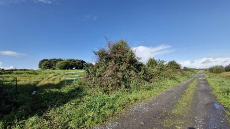 Photo of 112 Acres At Lehid & Kilcreevanty, Tuam, Co. Galway