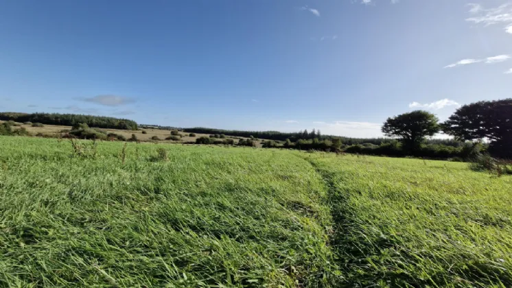 Photo of 112 Acres At Lehid & Kilcreevanty, Tuam, Co. Galway