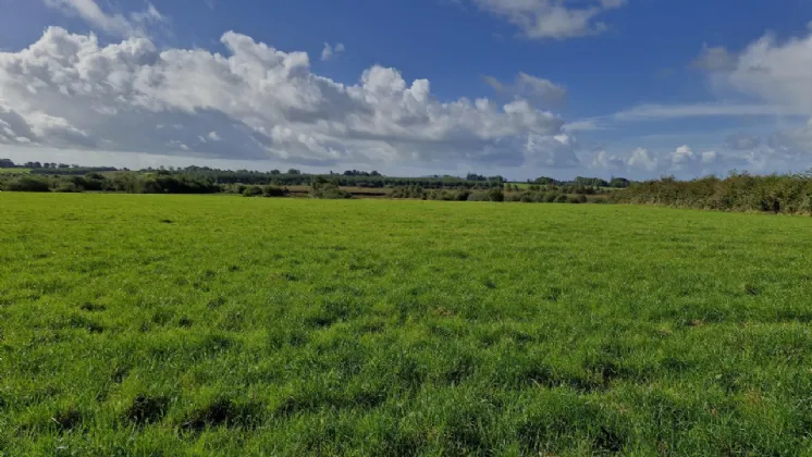 Photo of 112 Acres At Lehid & Kilcreevanty, Tuam, Co. Galway