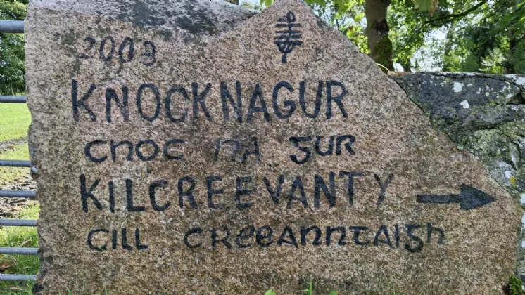 Photo of 112 Acres At Lehid & Kilcreevanty, Tuam, Co. Galway