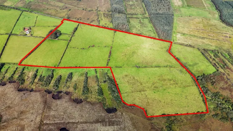 Photo of 112 Acres At Lehid & Kilcreevanty, Tuam, Co. Galway