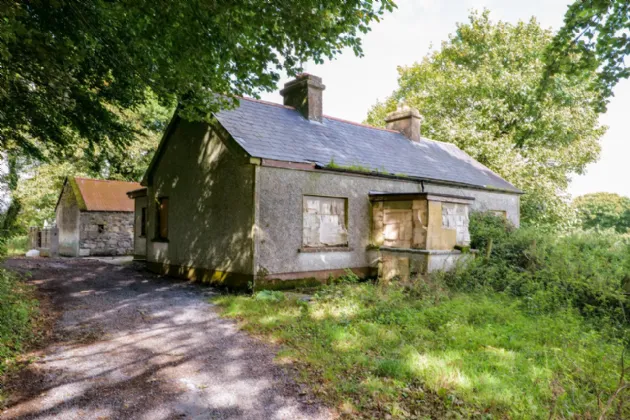 Photo of 112 Acres At Lehid & Kilcreevanty, Tuam, Co. Galway