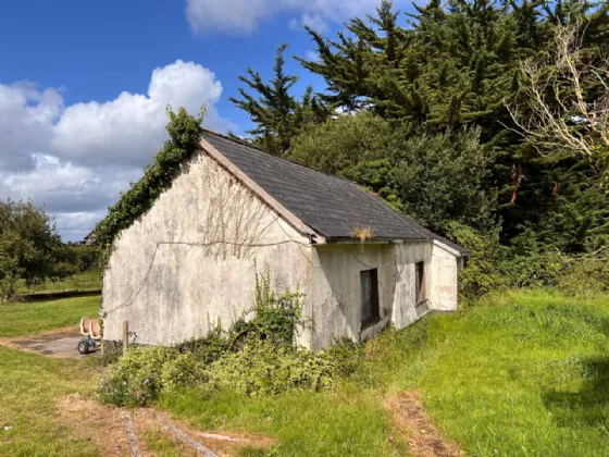 Photo of Kilbrennal Stud, Killenaule, Thurles, Co. Tipperary