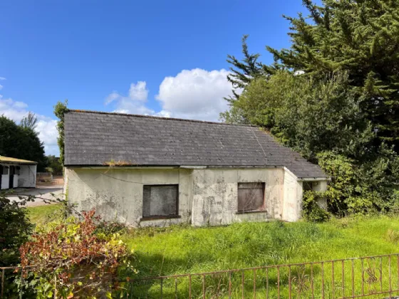 Photo of Kilbrennal Stud, Killenaule, Thurles, Co. Tipperary