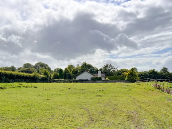 Photo of Kilbrennal Stud, Killenaule, Thurles, Co. Tipperary