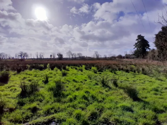 Photo of Cloonfinish, Swinford, Co Mayo