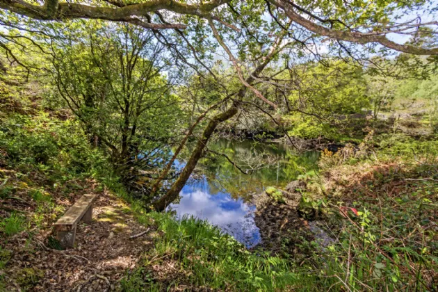 Photo of Snave, Ballylickey, Bantry, Co. Cork, P75 KR96