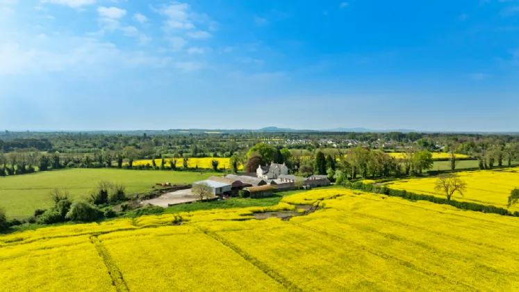 Photo of Corduff House & Farm (The Entire), On Approx. 46.5 Hec (115 Acres), Coill Dubh, County Kildare, W91 C898