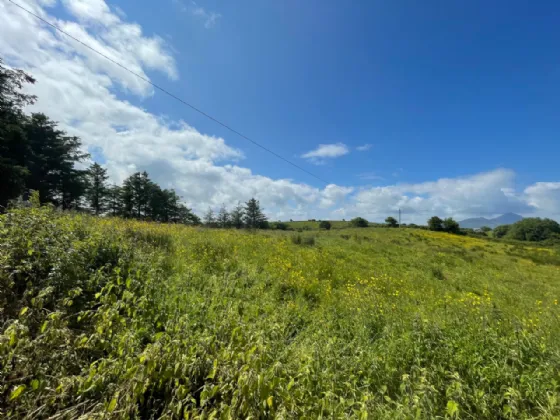 Photo of Cottage On 7.19 Acres, Sheeroe, Westport, Co Mayo, F28 XE24