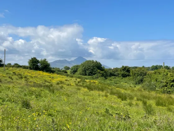 Photo of Cottage On 7.19 Acres, Sheeroe, Westport, Co Mayo, F28 XE24