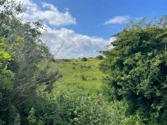 Photo of Cottage On 7.19 Acres, Sheeroe, Westport, Co Mayo, F28 XE24