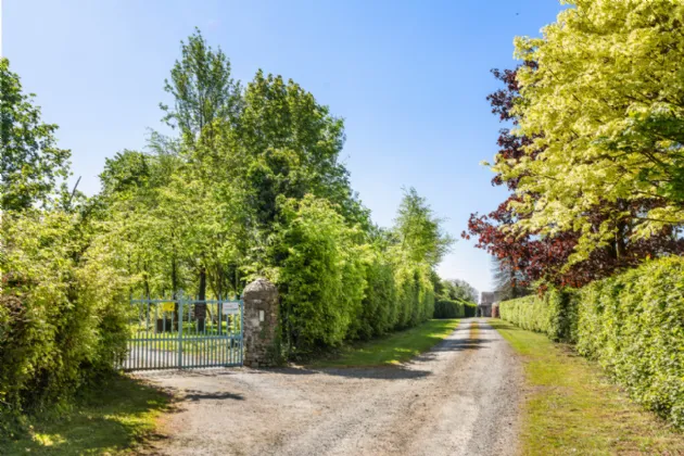 Photo of The Castle, On Approx. (12 Acres), Ballybrittan, Near Rhode, Co. Offaly, R45PR27