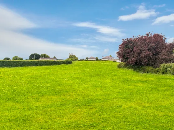 Photo of Newtown, Nenagh, Co. Tipperary, E45HX95