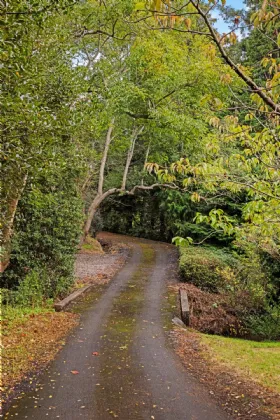 Photo of Templecarrig Lower, Delgany, Co  Wicklow, A63X082