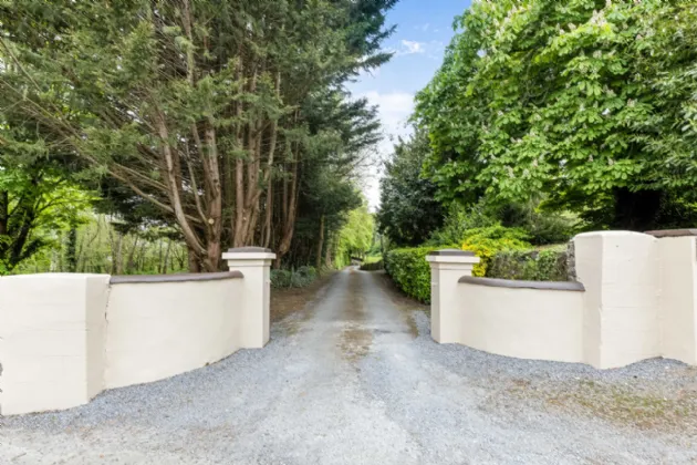 Photo of Inglewood On C. 11.07 (27.32 Acres), Munster Hill, Enniscorthy, Co Wexford, Y21 D2K8