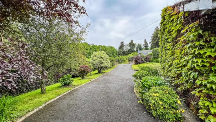 Photo of Tall Trees, Kilcross, Inistioge, Co Kilkenny, R95 F6T7